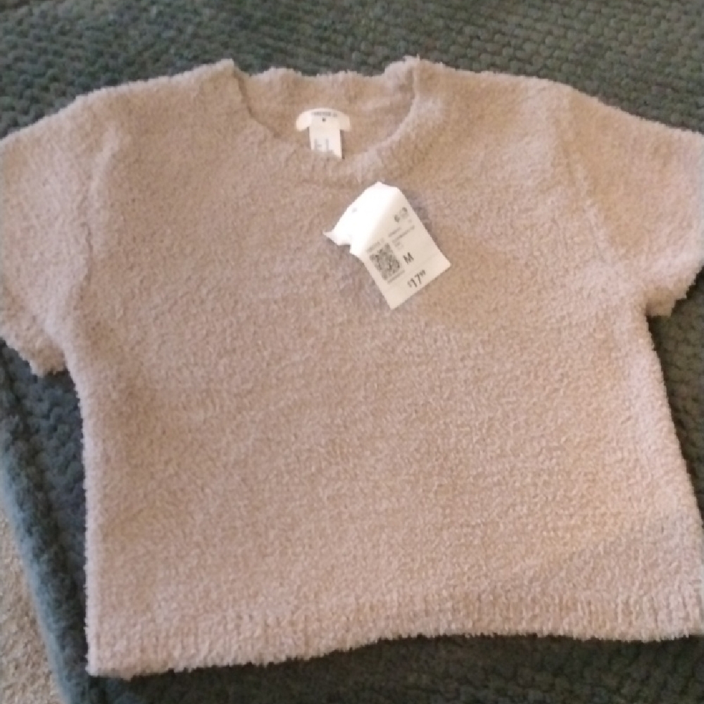 Ladies : Forever 21 Short Sleeve Fuzzy  Sweater ( Medium) . Nwts $9